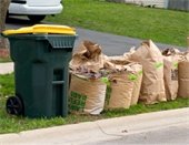 photo of yard waste in brown paper bags lined on grassy parkway next to green and yellow refuse toter
