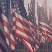 Rows of American flags wave in the sunlight, symbolizing patriotism and honoring veterans.