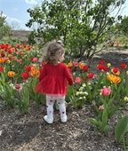 candid photo of back of little girl wearing red shirt in front of red and yellow tulips