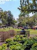 candid photo of couple sitting on bench at Lilacia Park and people in background
