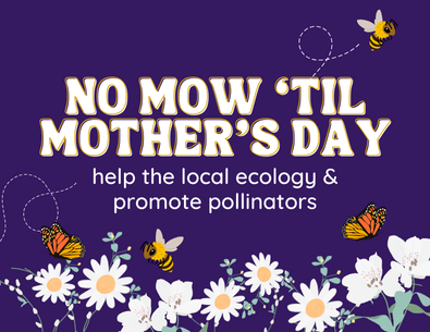 purple graphic with flowers and monarch butterflies and bees by them with overlay text