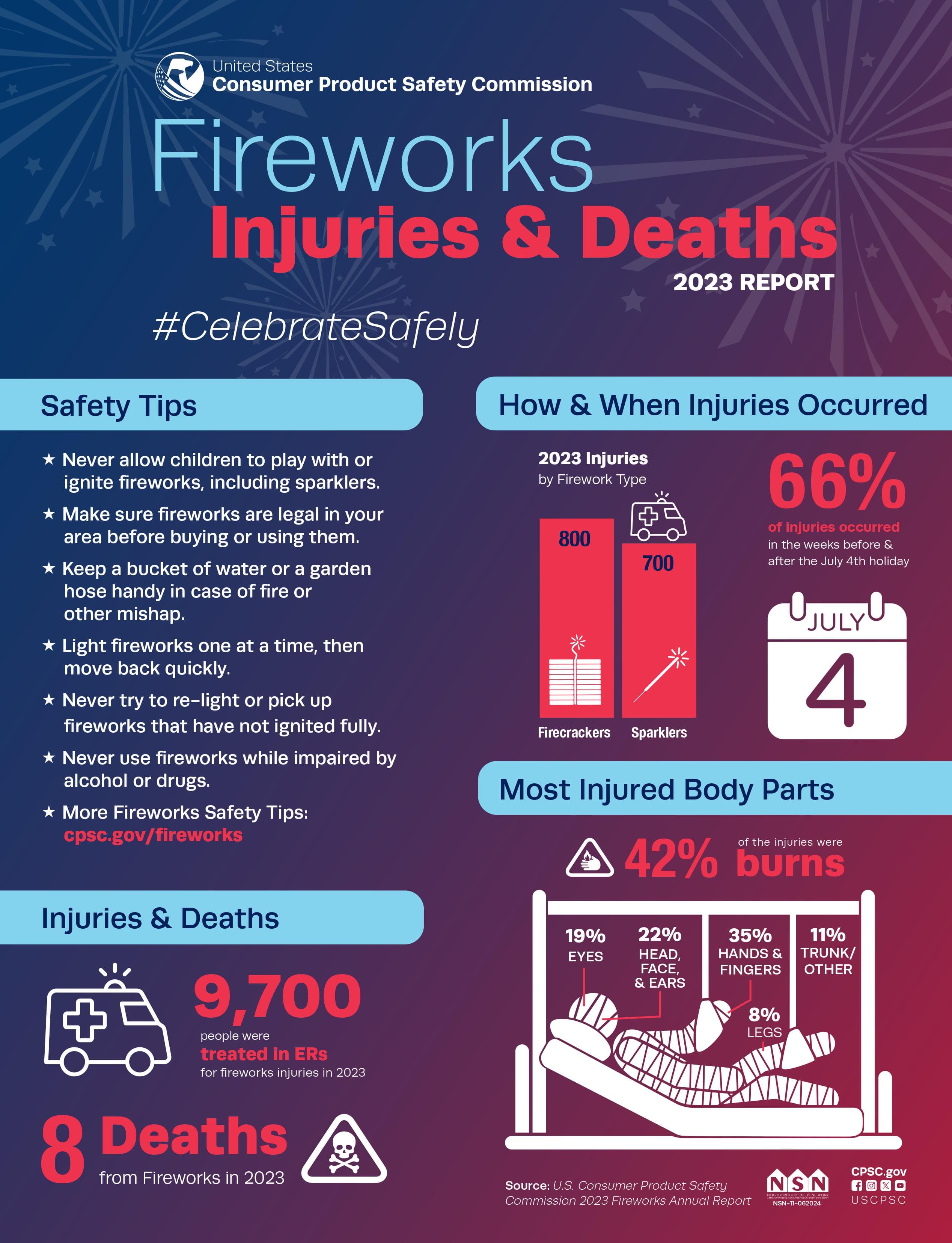 Fireworks Safety Infographic with Statistics 